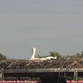 14_30-mast.jpg