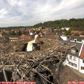 14_30-nest.jpg