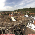 14_50-nest.jpg