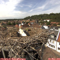 14_55-nest.jpg