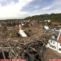 15_00-nest.jpg