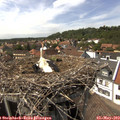 15_05-nest.jpg