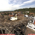 15_15-nest.jpg