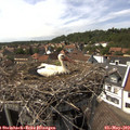 15_25-nest.jpg