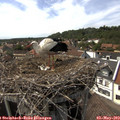 15_45-nest.jpg