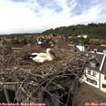 16_00-nest.jpg