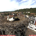 16_10-nest.jpg