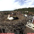 16_15-nest.jpg