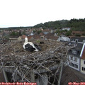 17_45-nest.jpg
