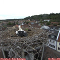 18_05-nest.jpg