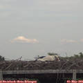 18_10-mast.jpg