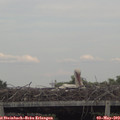 18_15-mast.jpg