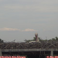 18_30-mast.jpg