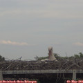 18_35-mast.jpg