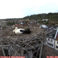 18_55-nest.jpg