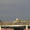 19_05-mast.jpg