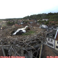 19_25-nest.jpg