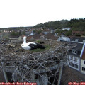 20_30-nest.jpg