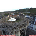 06_05-nest.jpg