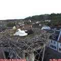06_10-nest.jpg