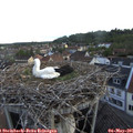 06_15-nest.jpg
