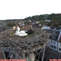 06_20-nest.jpg