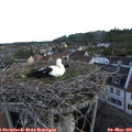 06_35-nest.jpg