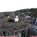 06_40-nest.jpg