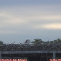 06_55-mast.jpg