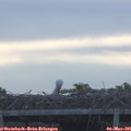 07_05-mast.jpg