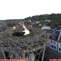 07_05-nest.jpg