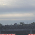 07_25-mast.jpg