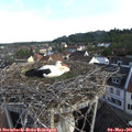 07_25-nest.jpg