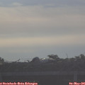 07_35-mast.jpg