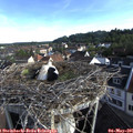 07_35-nest.jpg