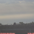 07_40-mast.jpg