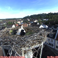 07_40-nest.jpg