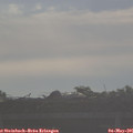 07_45-mast.jpg