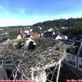 07_45-nest.jpg