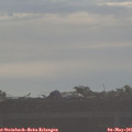 07_50-mast.jpg