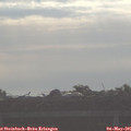 07_55-mast.jpg