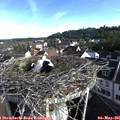 07_55-nest.jpg