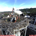 08_00-nest.jpg