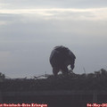08_05-mast.jpg