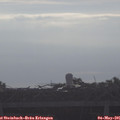 08_10-mast.jpg