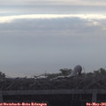 08_30-mast.jpg