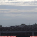 09_10-mast.jpg