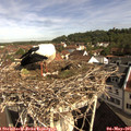 09_25-nest.jpg
