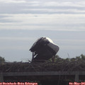 09_40-mast.jpg