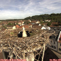 09_50-nest.jpg